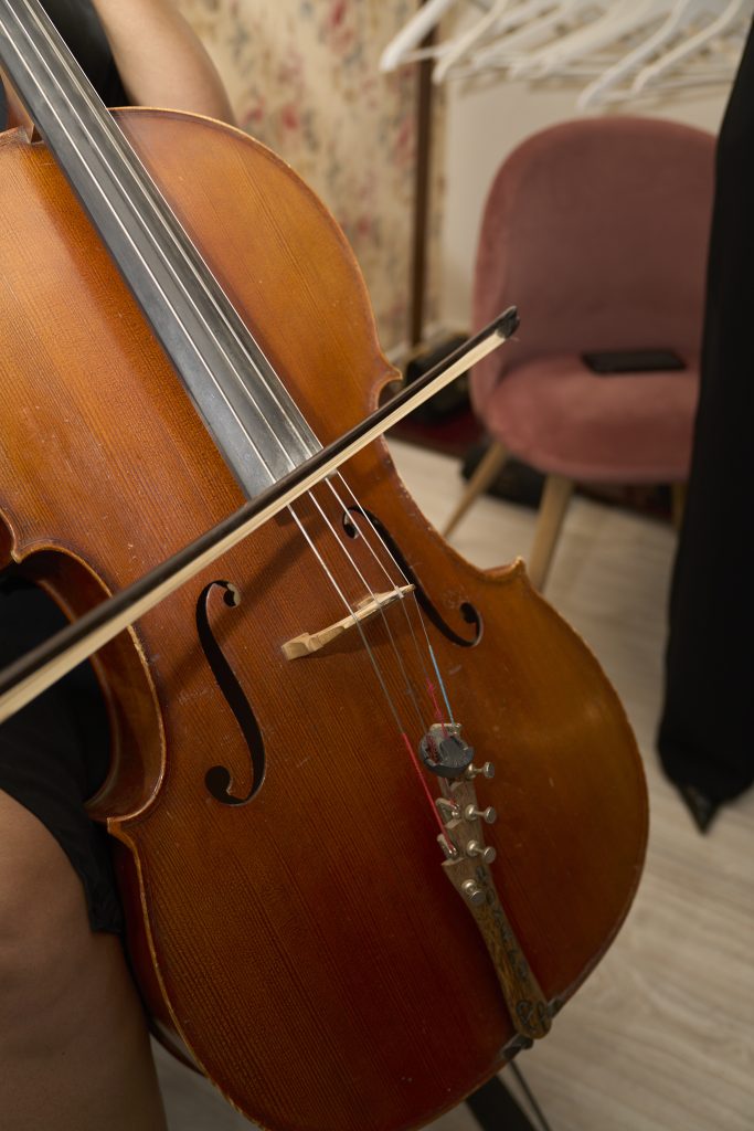 Camerata Venezziola