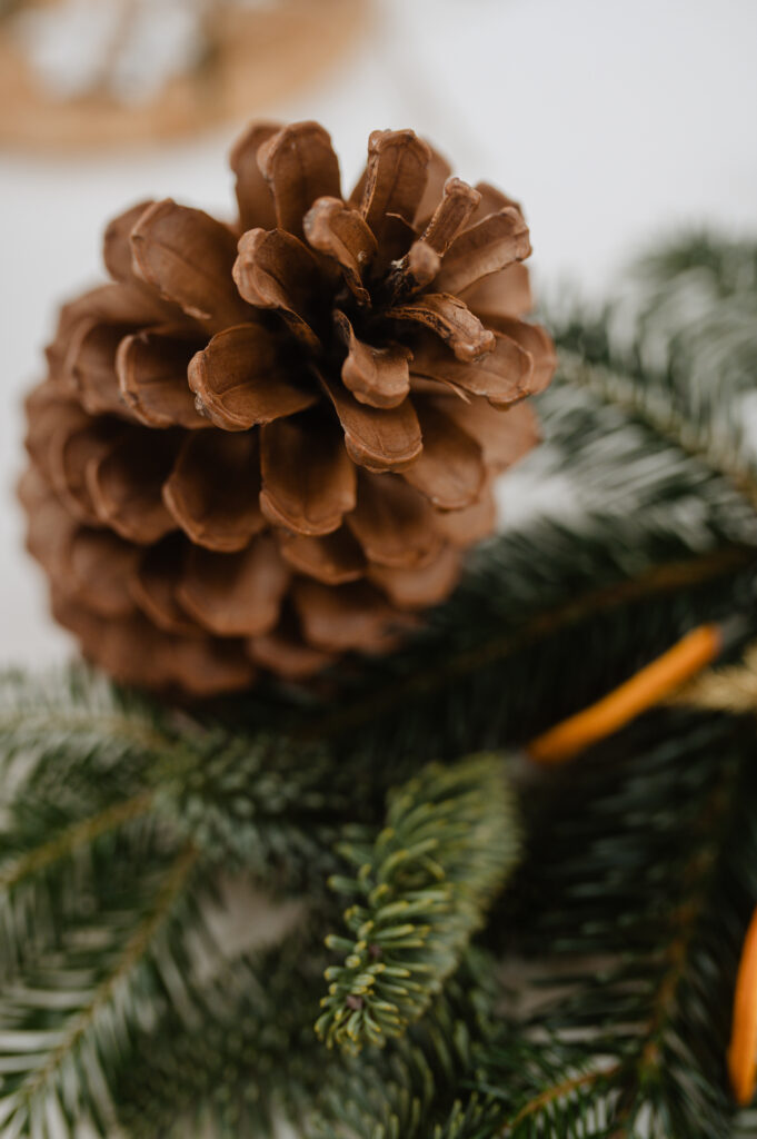 navidad